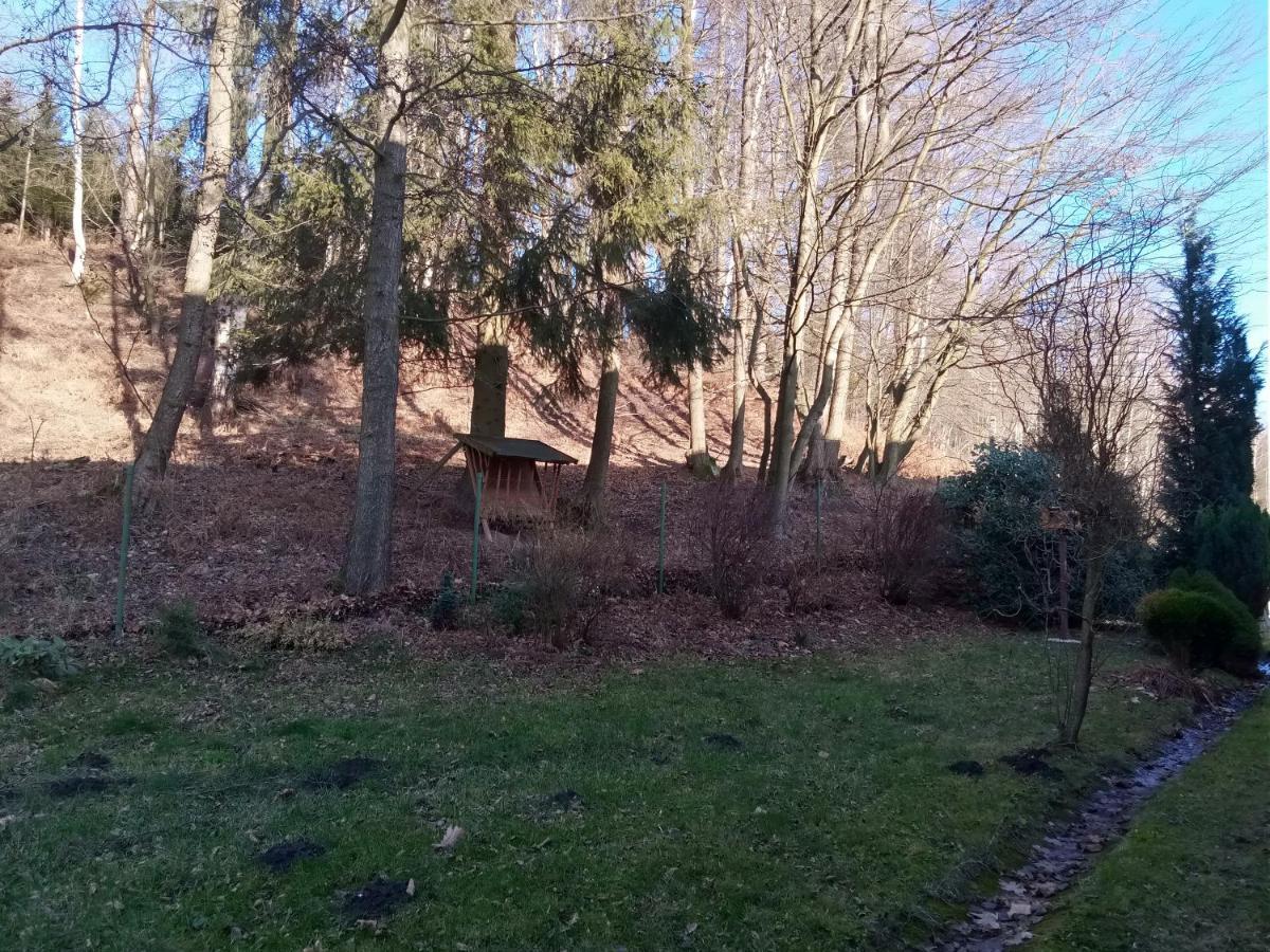 Apartman Pod Prehradou Chřibská Bagian luar foto